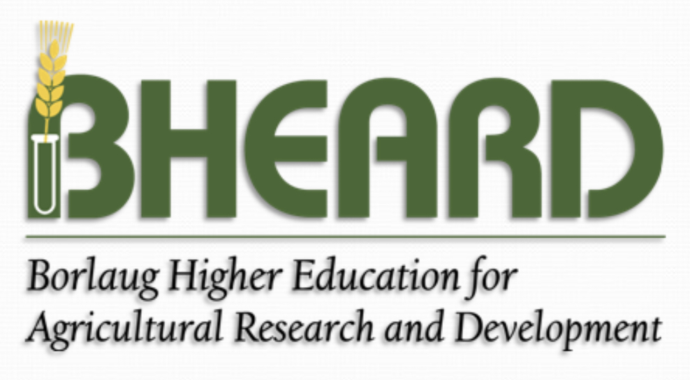 BHEARD logo.jpg